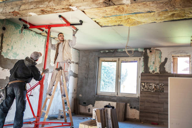 Best Insulation Installation Services in West Orange, TX